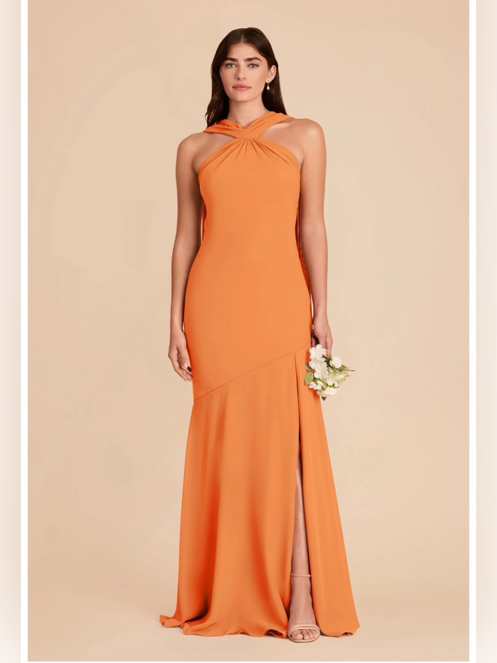 Birdy Grey Eileen Chiffon dress